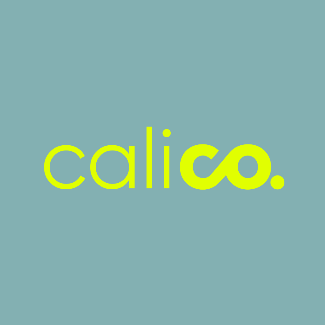 Calico portfolio showcasing branding, graphic design, and custom website development for a dynamic sports agency