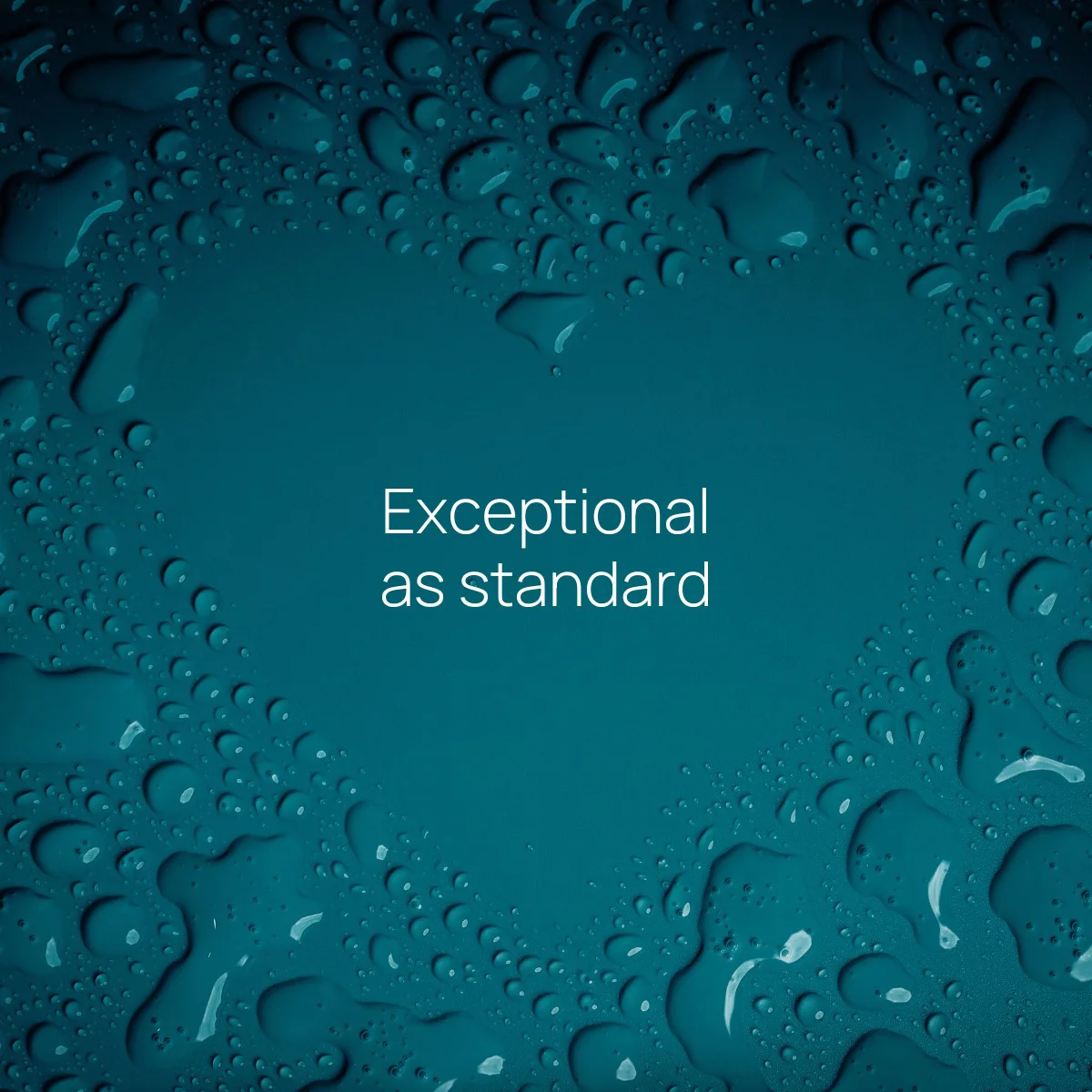 Evolve Water portfolio showcasing branding, graphic design, and custom website development for a sustainable water solutions company