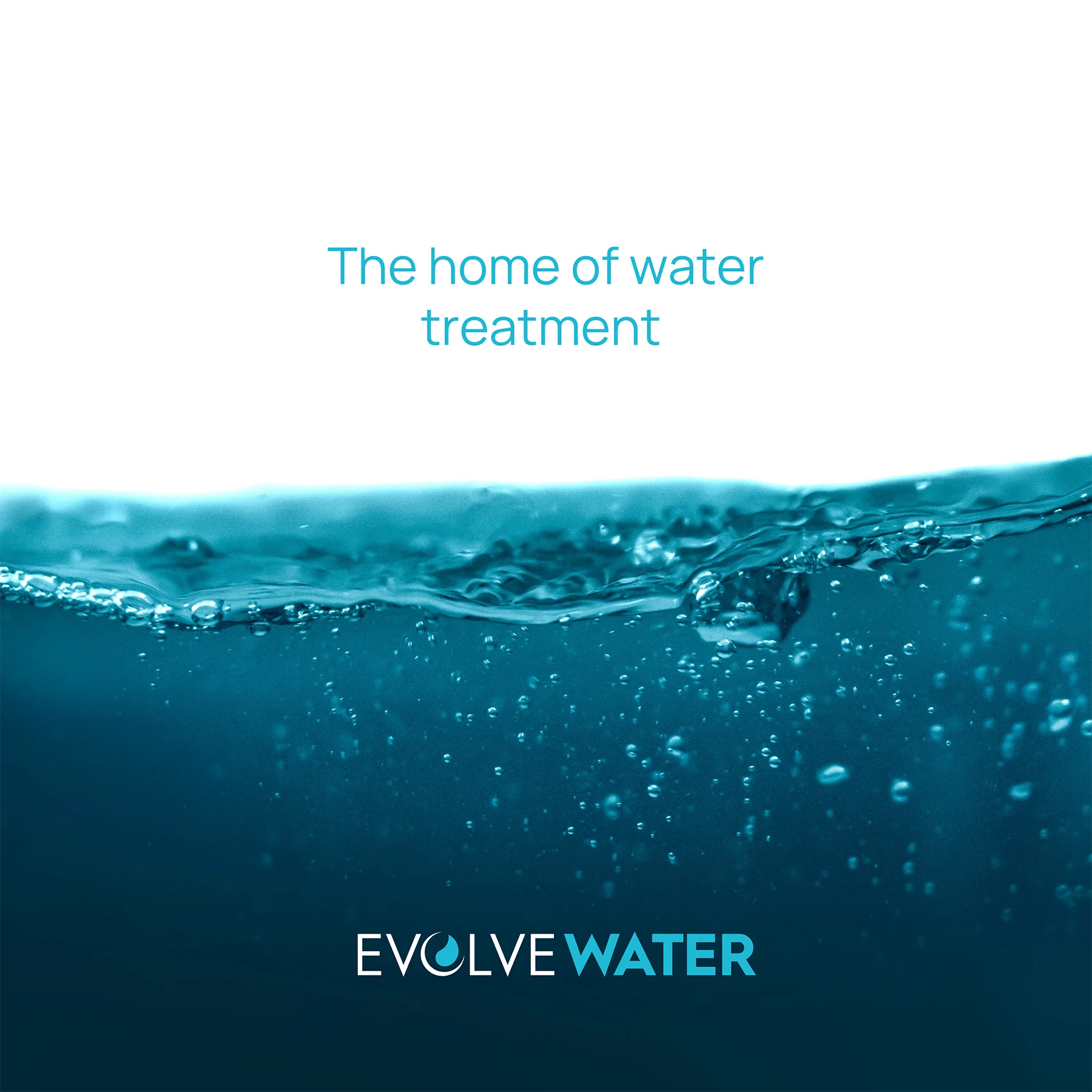 Evolve Water portfolio showcasing branding, graphic design, and custom website development for a sustainable water solutions company